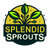 Splendid Sprouts